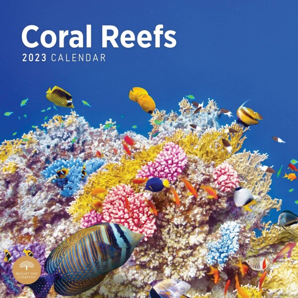 2023 Coral Reefs Monthly Wall Calendar by Bright Day, 12 x 12 Inch, Ocean Under The Sea Tropical Fish