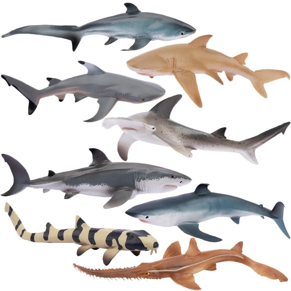 TOYMANY 動物フィギュア 8PCSサメフィギュア 海洋動物フィギュアセット 海洋生物 魚類 海の生き物 リアルな動物模型 サメ好き 人気動物