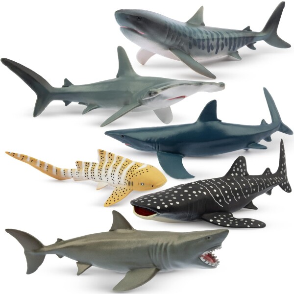 TOYMANY 動物フィギュア 6PCSサメフィギュア 海洋動物フィギュアセット 12cm〜14cm 生物 魚類 海の生き物 リアルな動物模型 サメ好き 人