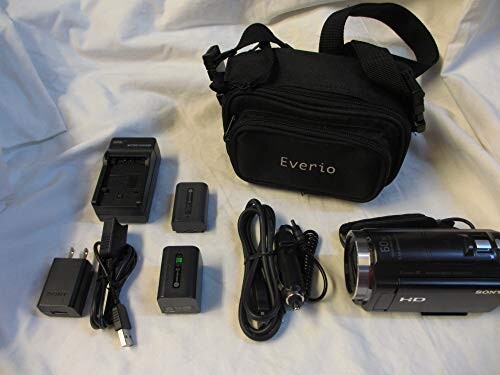 ソニー SONY ビデオカメラ Handycam CX535 内蔵メモリ32GB ボルドーブラウン HDR-CX535/T