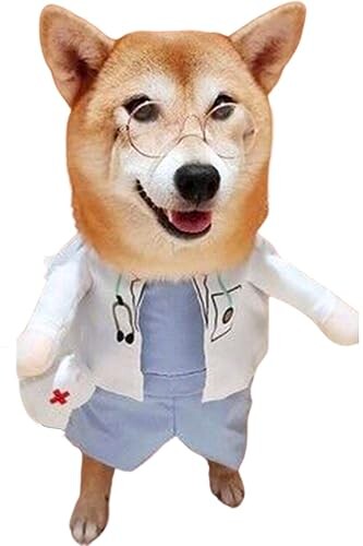 ※他モールでも併売しているため、タイミングによって在庫切れの可能性がございます。その際は、別途ご連絡させていただきます。
